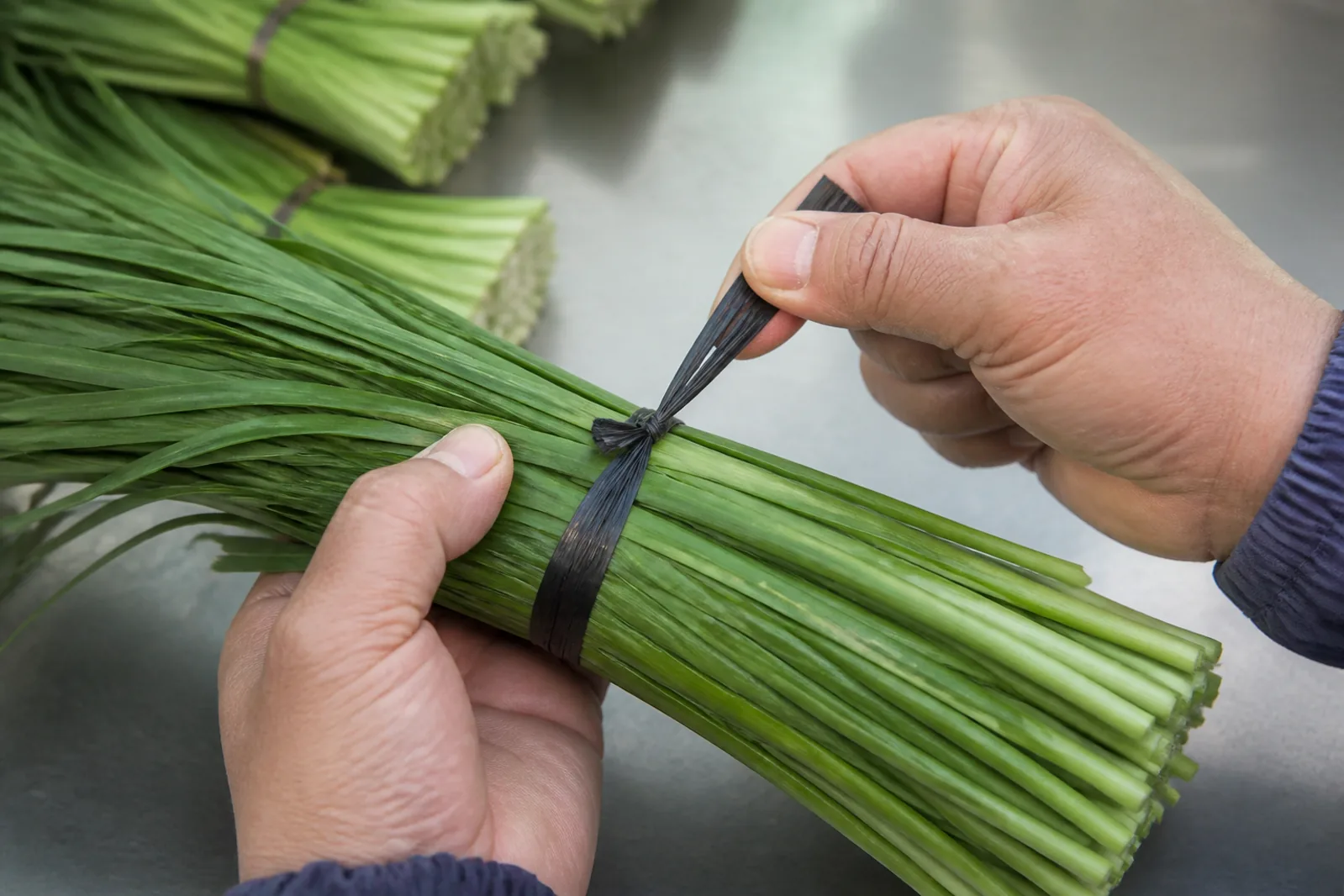 Vegetable bundling application illustration